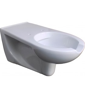 Inodoro suspendido con apertura frontal